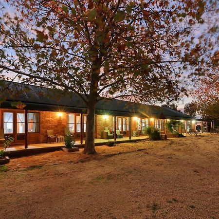 The Vineyard Motel Cowra Dış mekan fotoğraf