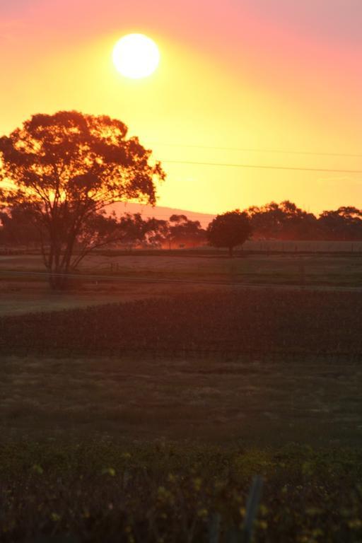 The Vineyard Motel Cowra Dış mekan fotoğraf