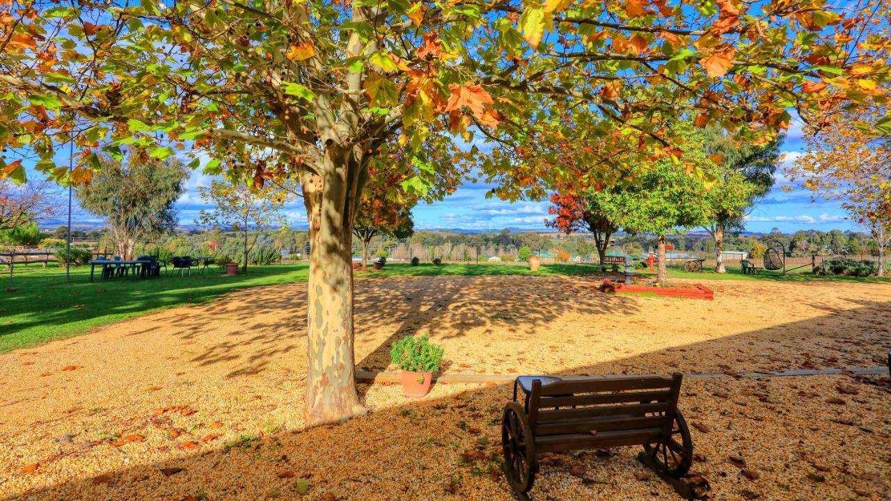 The Vineyard Motel Cowra Dış mekan fotoğraf