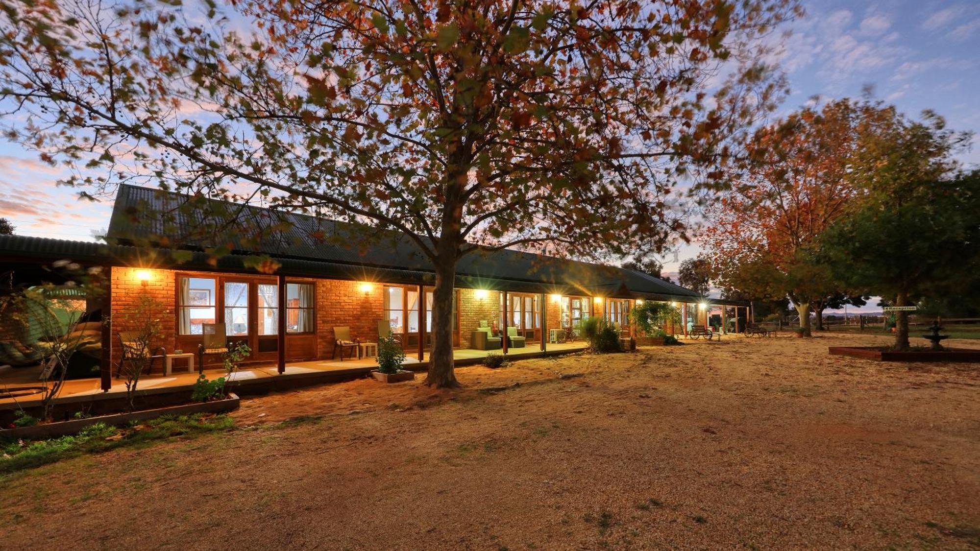 The Vineyard Motel Cowra Dış mekan fotoğraf