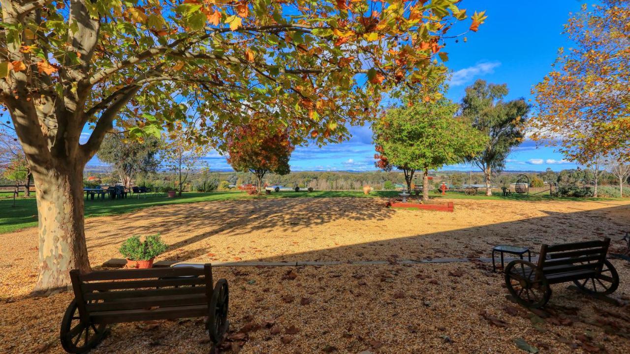 The Vineyard Motel Cowra Dış mekan fotoğraf
